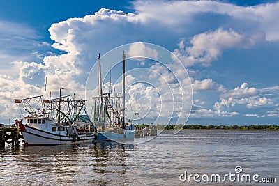 Shrimp boats Stock Photo