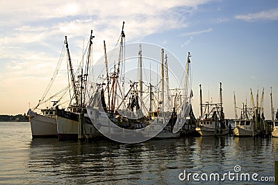 Shrimp boats Stock Photo