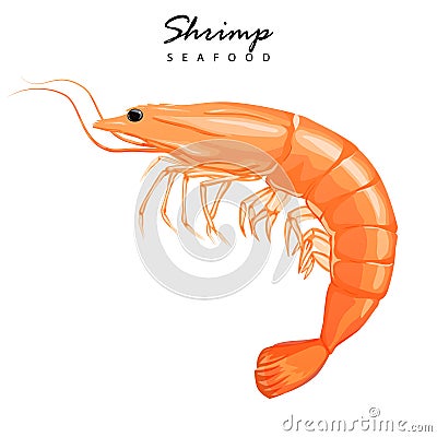 Shrimp icon. Boiled Prawn in shell on a white background Stock Photo