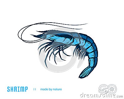 Vector shrimp flat style illustration Vector Illustration