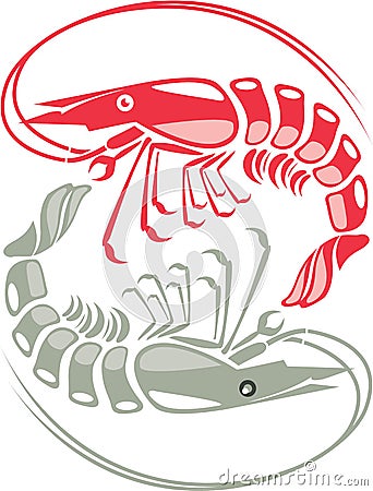 Shrimp raw cooked Vector Illustration