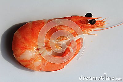 A shrimp - red small shrimp Stock Photo