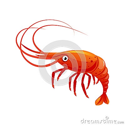 Shrimp, sea creature and seafood. Colorful cartoon character v Vector Illustration