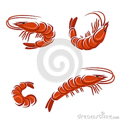 Shrimp set. Vector Vector Illustration
