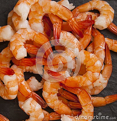 Shrimp Stock Photo