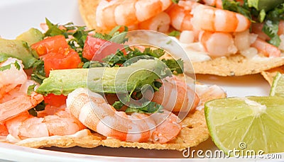 Shrimp in a tortilla shell Stock Photo