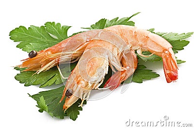 Shrimps Stock Photo