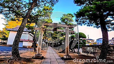 Shrine approach and torii Hokima Hikawa Shrine Stock Photo