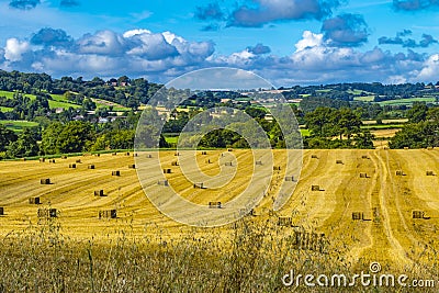 Shropshire Country side. Hay bales lovely rolling golden fields and blue sky Stock Photo