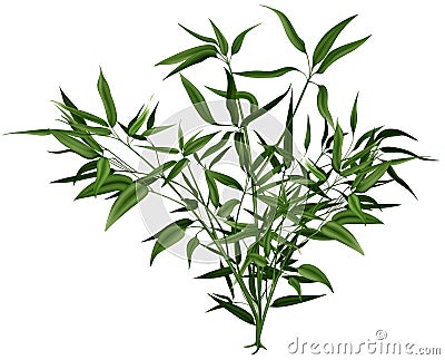 Shrub Cartoon Illustration