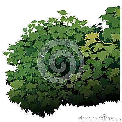 Shrub Vector Illustration