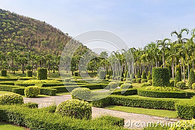 Shrub trimming ornamental in public green park and grass field Stock Photo