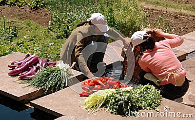 Shu He, China: Women Washing Vegetables Editorial Stock Photo