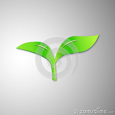 Small saplings, buds, new life, growth, green and full of vitality, tenacious. Stock Photo