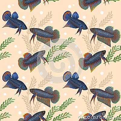 Siam fighting fish seamless pattern. Vector Illustration