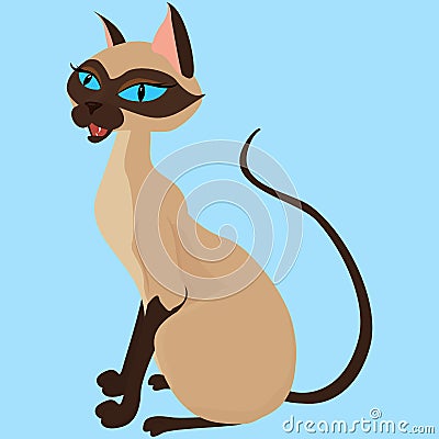 Siamese Cat Sitting Illustration Isolated on blue Vector Illustration