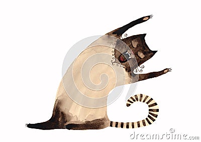 Siamese Cat Stock Photo