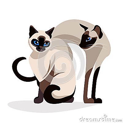 Siamese cats love.Romantic Couple of siam Cute elegant, graceful cats. isolated vector. kawaii illustration Vector Illustration