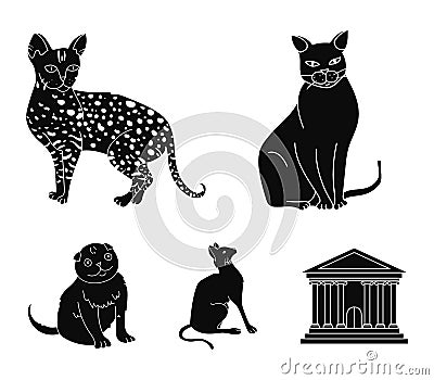 Siamese and other species. Cat breeds set collection icons in black style vector symbol stock illustration web. Vector Illustration