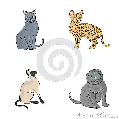 Siamese and other species. Cat breeds set collection icons in cartoon style vector symbol stock illustration web. Vector Illustration