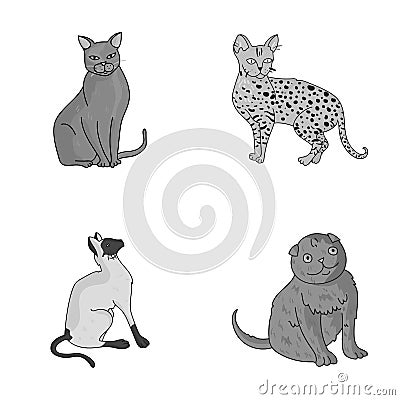 Siamese and other species. Cat breeds set collection icons in monochrome style vector symbol stock illustration web. Vector Illustration