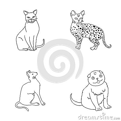 Siamese and other species. Cat breeds set collection icons in outline style vector symbol stock illustration web. Vector Illustration