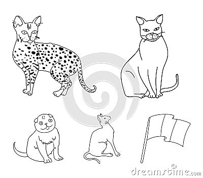 Siamese and other species. Cat breeds set collection icons in outline style vector symbol stock illustration web. Vector Illustration