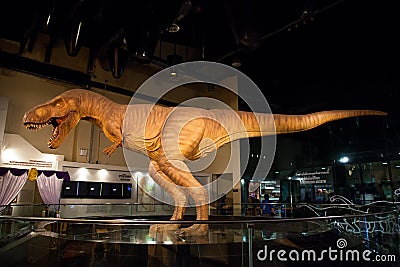 Siamotyrannus Isanensis exhibited show Editorial Stock Photo