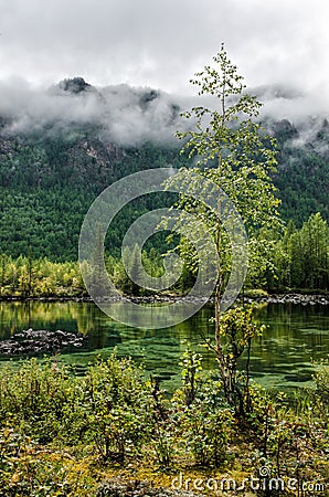 Siberia. Beautiful green fog lake in the forest. Buryatia Stock Photo