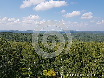 Siberian coniferous forests under the blue sky Stock Photo