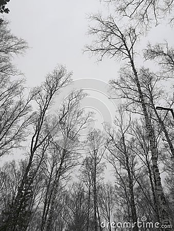 Siberian endless sky in the dullness of weekdays Stock Photo