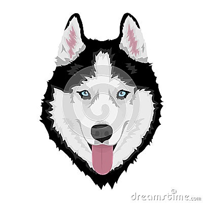 Siberian husky dog Vector Illustration