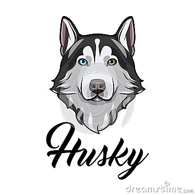 Siberian husky dog. Dog head. Husky face muzzle. Dog breed. Dog portrait. Vector. Vector Illustration