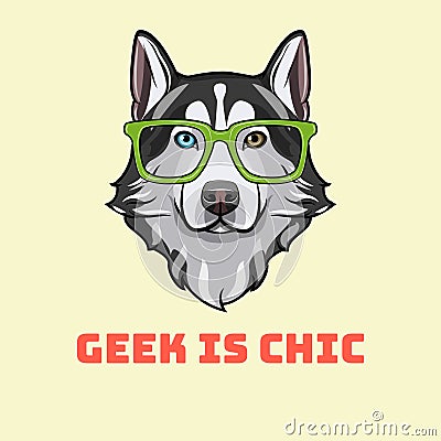 Siberian Husky nerd. Sart glasses. Dog geek. Husky portrait. Geek is chic. Vector. Vector Illustration