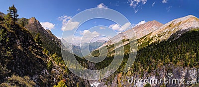 Siberian mountain forest Stock Photo