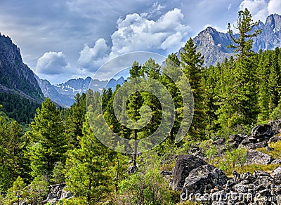 Siberian mountain taiga on cloudy summer day Stock Photo