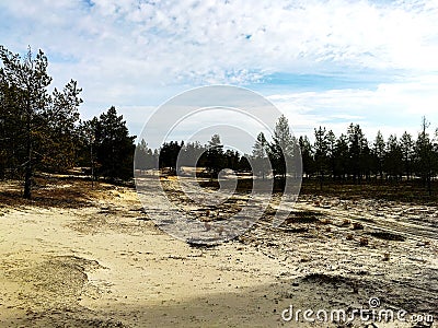 Siberian nature of Russia, tundra in all its glory Stock Photo