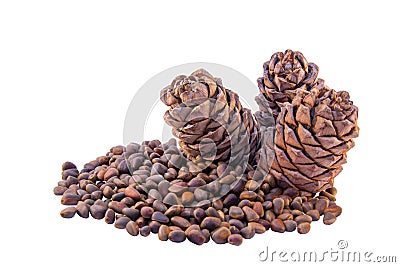 Siberian pine cones and nutlets Stock Photo