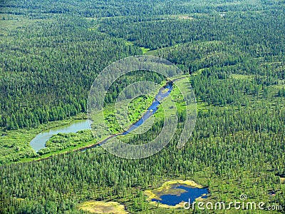 Siberian taiga - aerial view Stock Photo