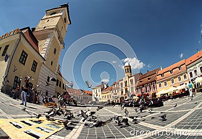 Sibiu city place crowded of pigeons Editorial Stock Photo