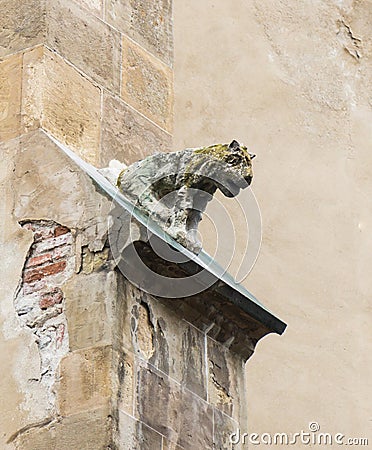 Gargoyle statue on the facade of Lutheran Cathedral of Saint Mary. Sibiu city in Romania Editorial Stock Photo