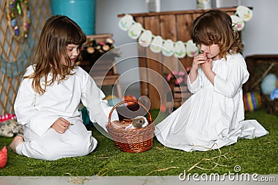 Siblings sisters in nightgowns playing with rabbit Stock Photo