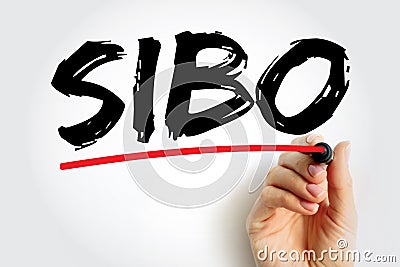 SIBO - Small Intestinal Bacterial Overgrowth is an imbalance of the microorganisms in your gut that maintain healthy digestion, Stock Photo