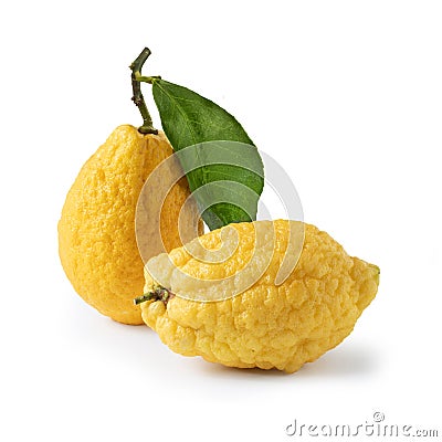 Citron, Citrus Medica, isolated on white background Stock Photo