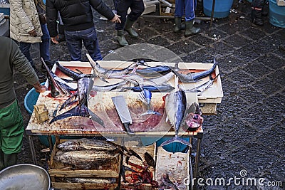 Sicily fish fair with swordfish slices Stock Photo