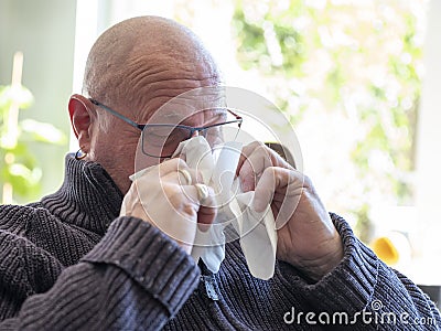 Sick bald senior man blowing his nose with tissue. having flu, corona virus. against green plants, in a sunny room Stock Photo