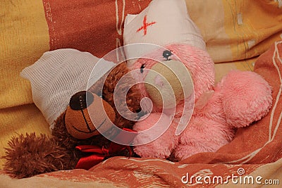Sick bear Stock Photo