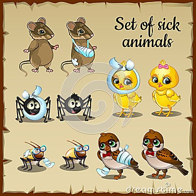 Sick and healthy animals complaints Vector Illustration