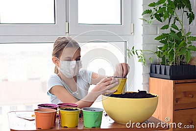 A sick quarantined girl pours earth into a pot for planting plants Stock Photo