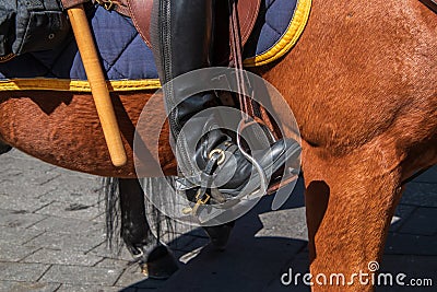 Side of beautiful brown horse with police riding boot in stirrup Stock Photo